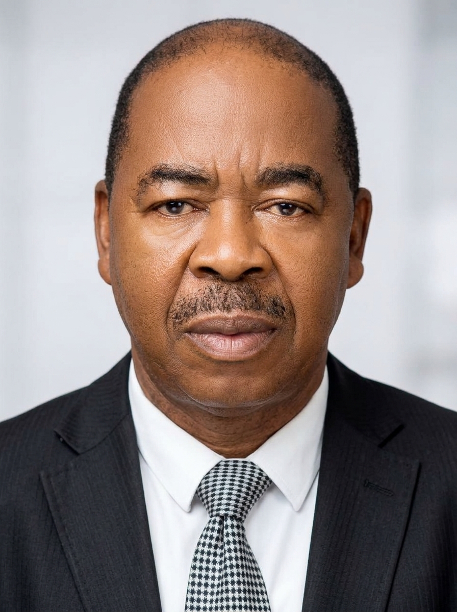 Engr. Dr. Austin Lazarus Asimonye – CEO